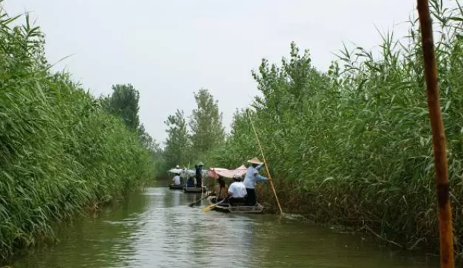 马踏湖金丝鸭蛋.png