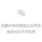 马踏湖金丝鸭蛋