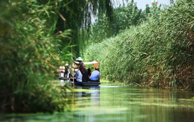 马踏湖上梦江南